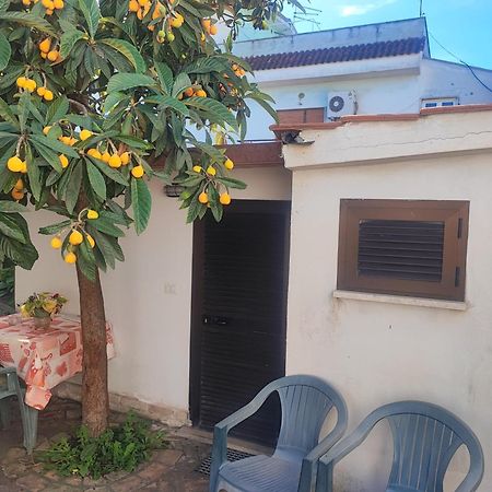 Little Lucia Apartment Acilia Exterior photo